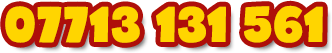 07713 131 561